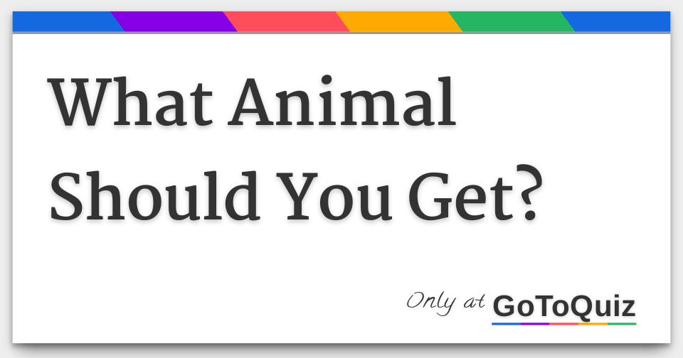 What Animal Should You Get?