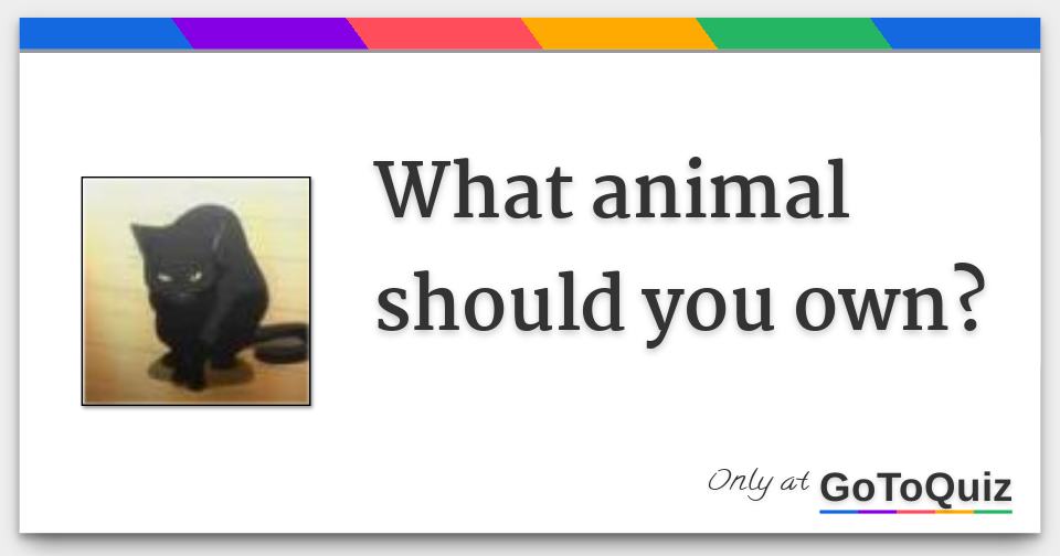 What animal should you own?