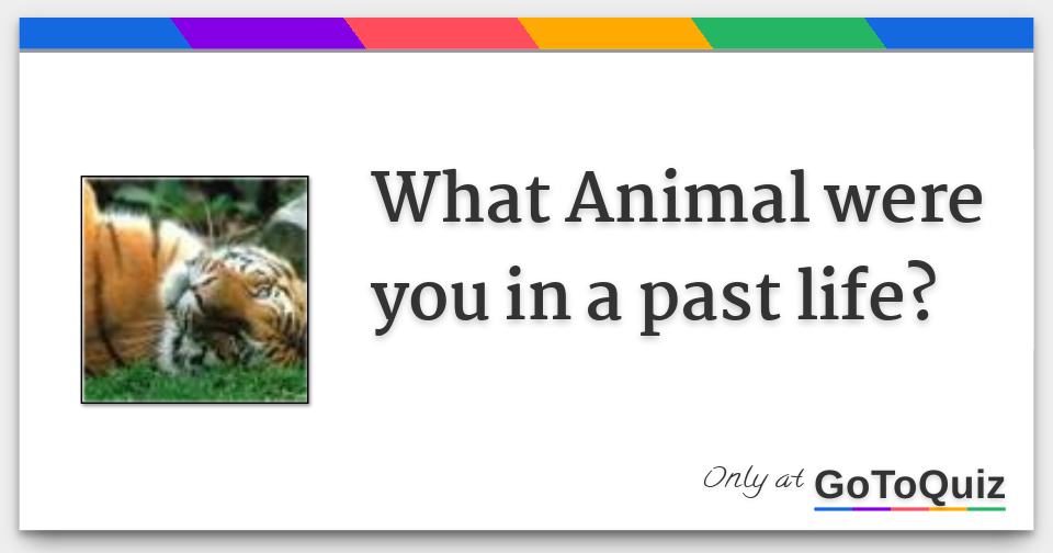 What Animal were you in a past life?