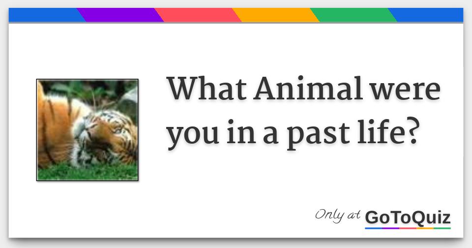 What Animal were you in a past life? What Animal were you in a past life?