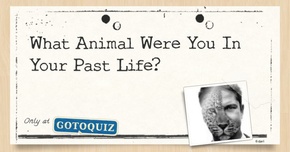 What Animal Were You In Your Past Life? What Animal Were You In Your Past Life?