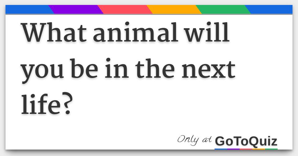 What animal will you be in the next life?