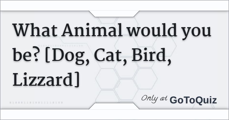 What Animal would you be? [Dog, Cat, Bird, Lizzard] Comments, Page 1