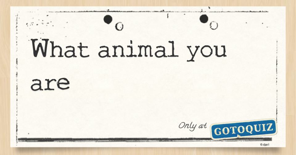 What animal you are