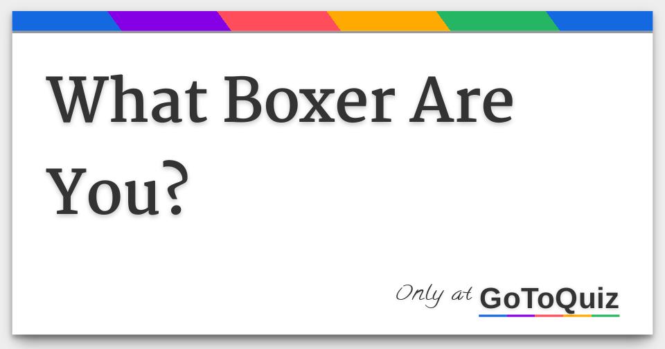 What Boxer Are You?