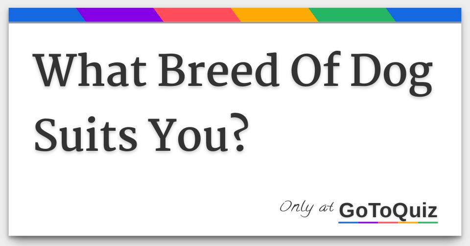 What Breed Of Dog Suits You?