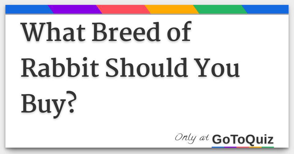 What Breed of Rabbit Should You Buy?