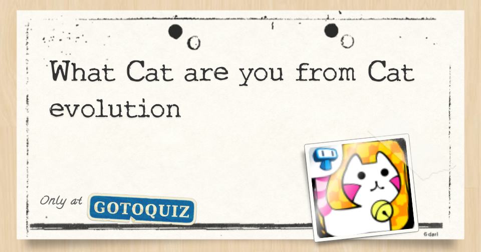 What Cat are you from Cat evolution
