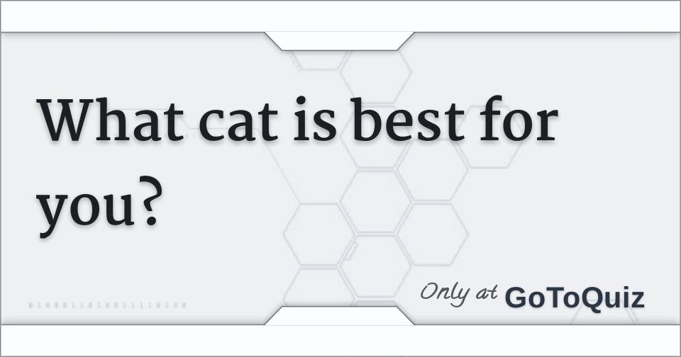 What cat is best for you?