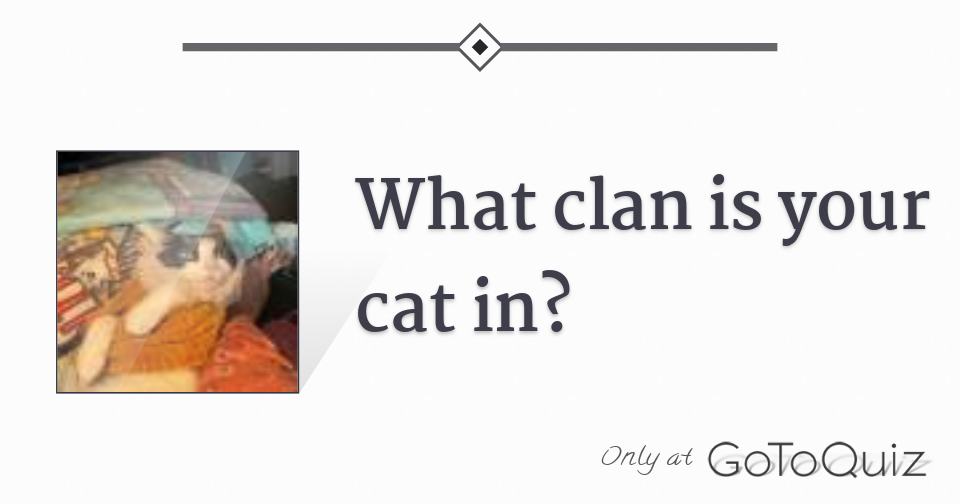 What clan is your cat in?