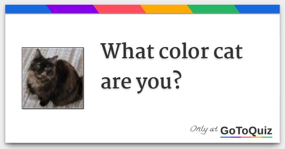 What color cat are you?
