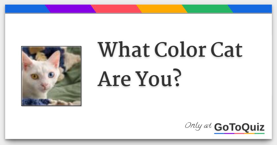 What Color Cat Are You?