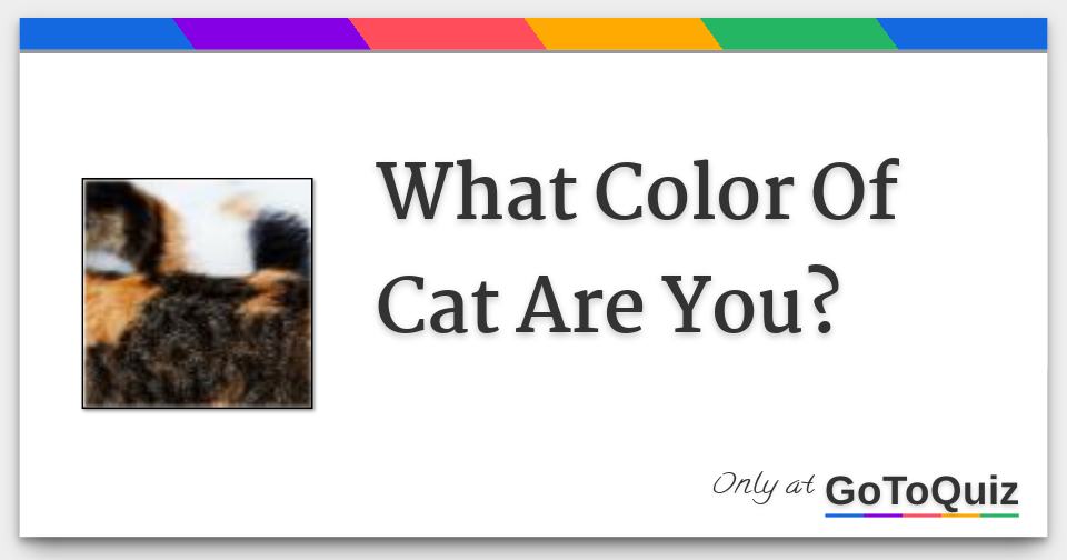 What Color Of Cat Are You?