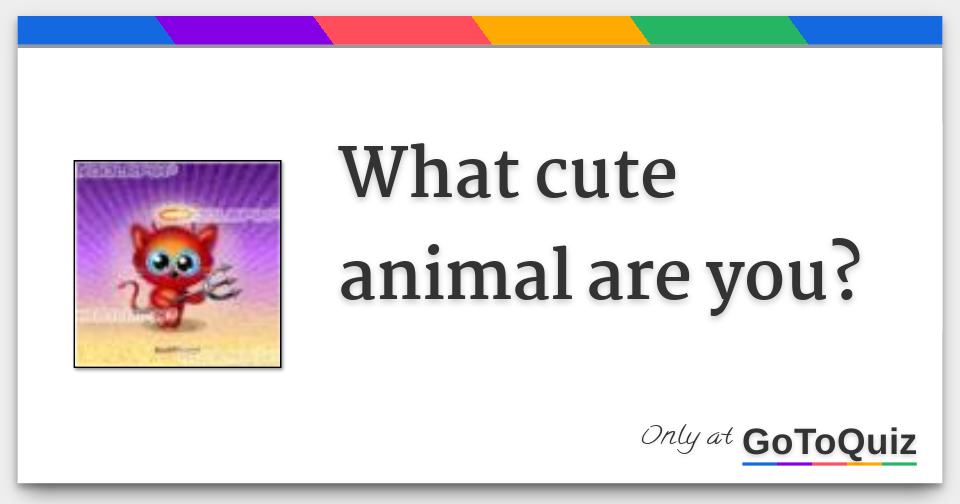 What cute animal are you? What cute animal are you?