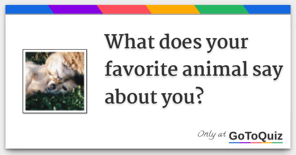 What does your favorite animal say about you?