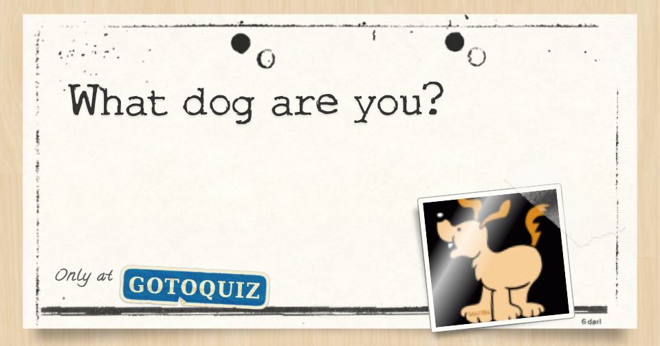 What dog are you?