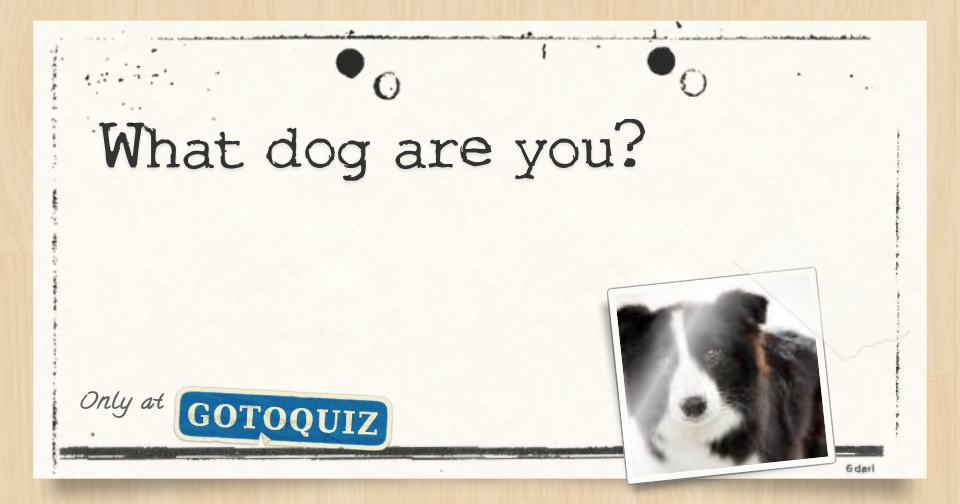 What dog are you?