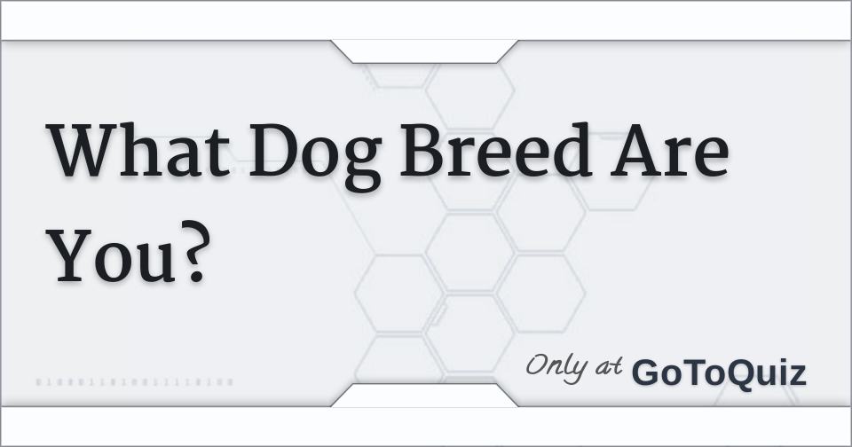 What Dog Breed Are You?