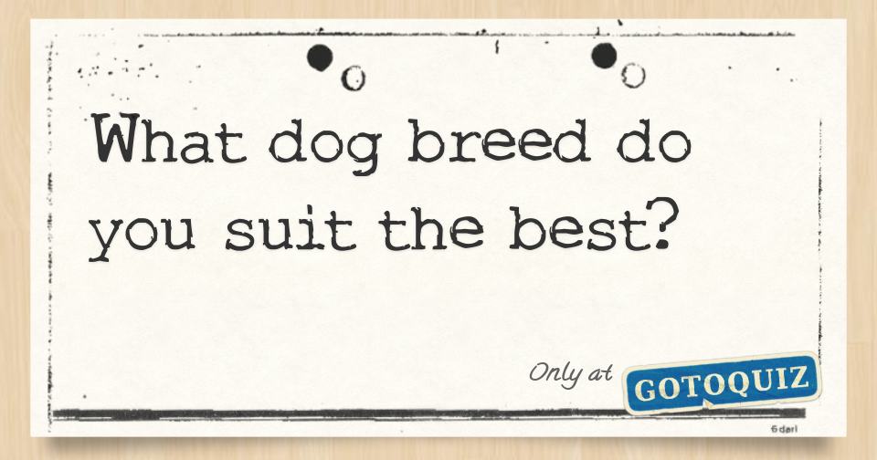 What dog breed do you suit the best?