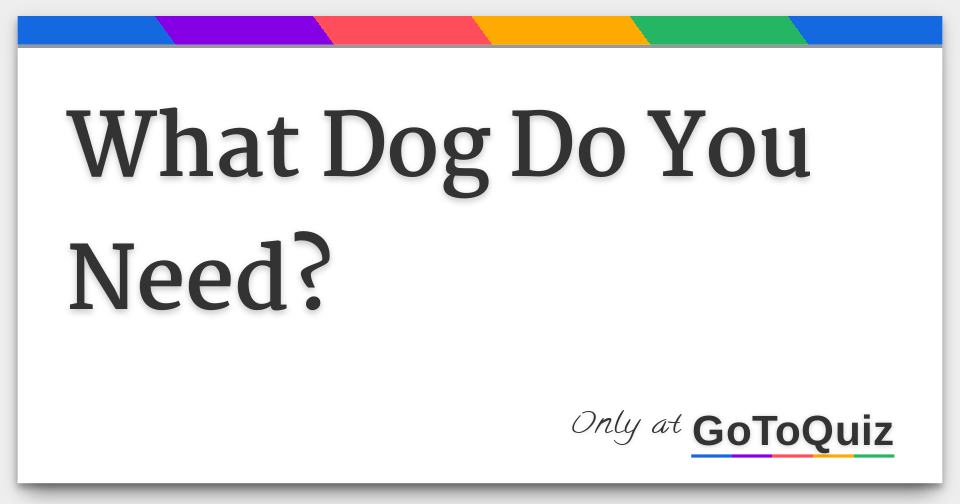 What Dog Do You Need?