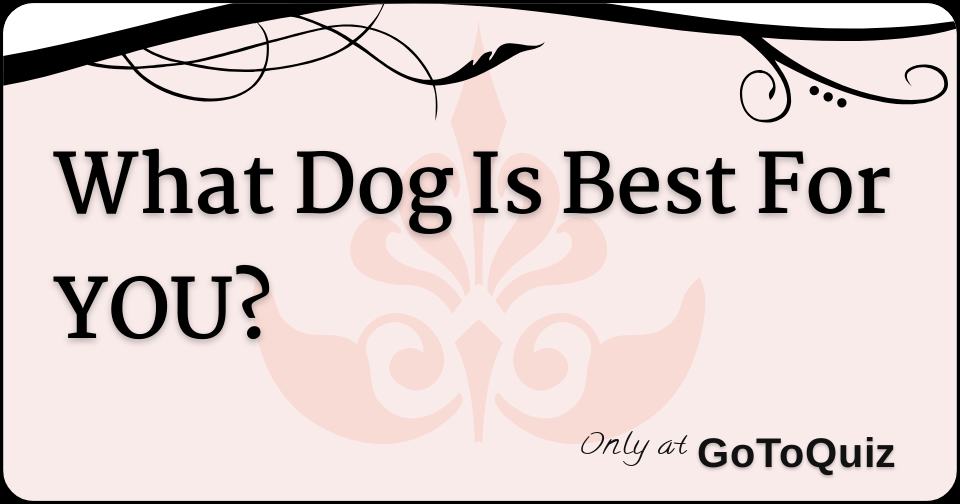 What Dog Is Best For YOU?