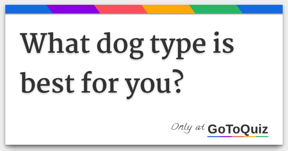 what dog type is best for you?