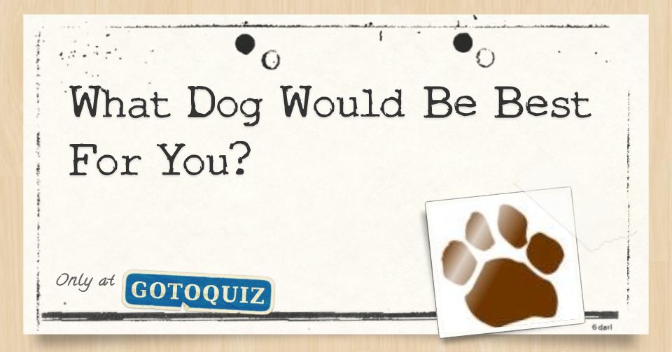 What Dog Would Be Best For You?