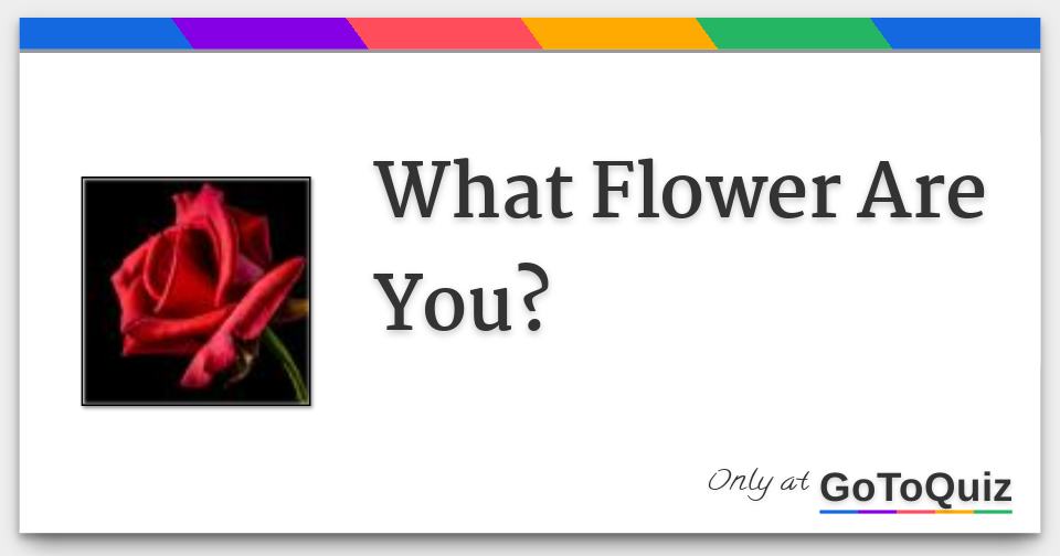 What Flower Are You?