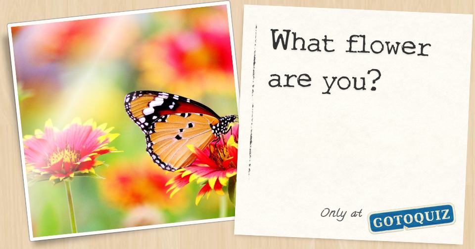 What flower are you?