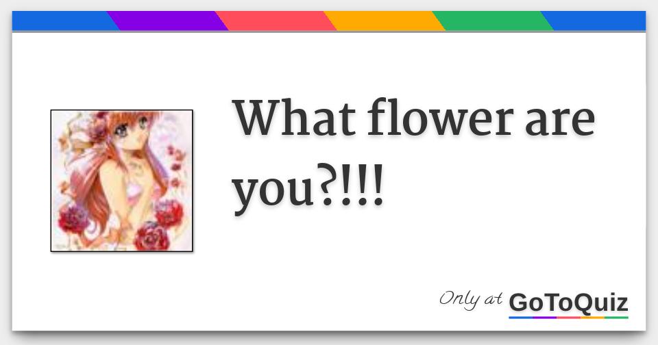 What flower are you?!!!