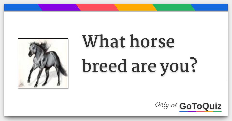 What horse breed are you?