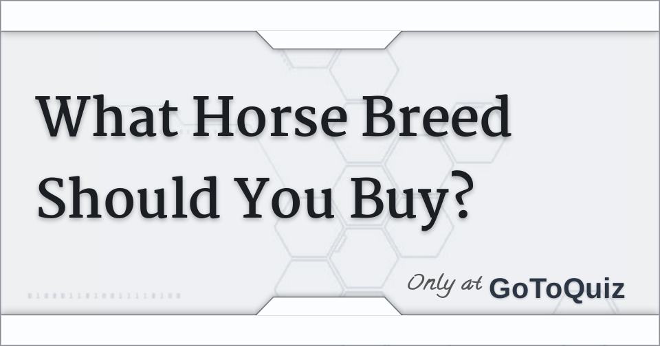 What Horse Breed Should You Buy?