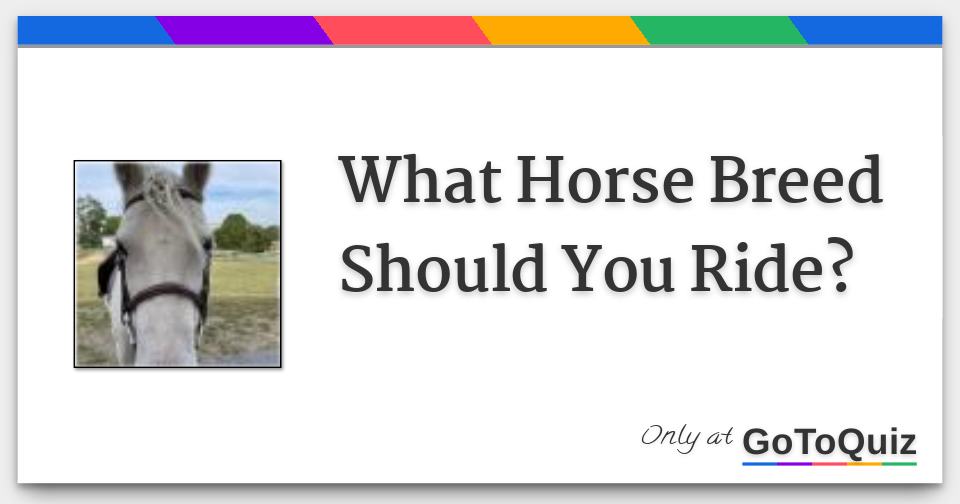 What Horse Breed Should You Ride?