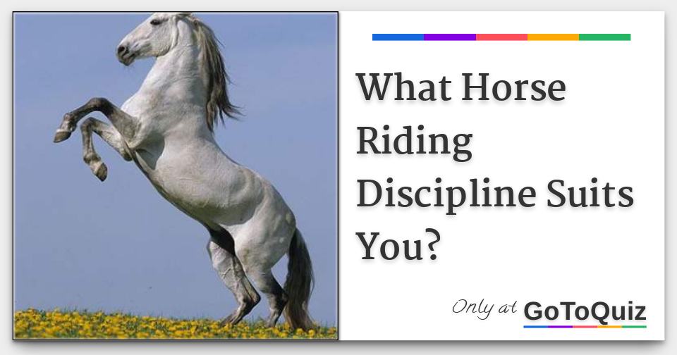What Horse Riding Discipline Suits You? What Horse Riding Discipline Suits You?