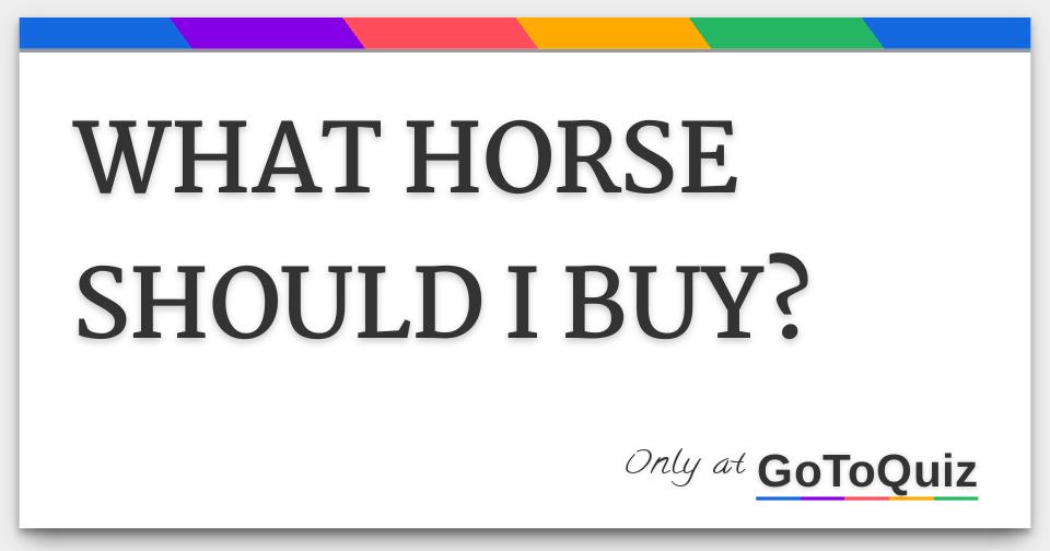 WHAT HORSE SHOULD I BUY?