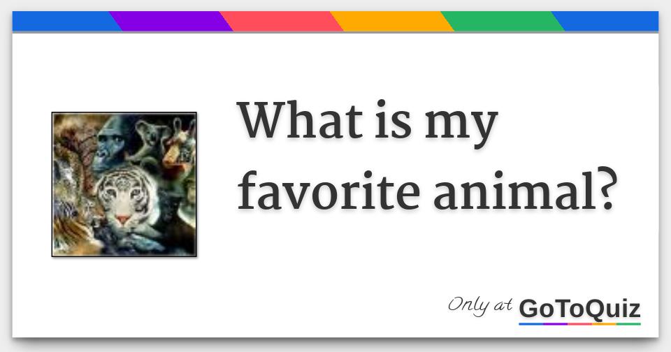 What is my favorite animal?