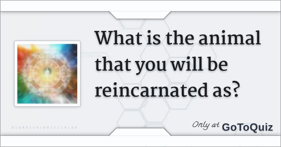 What is the animal that you will be reincarnated as?