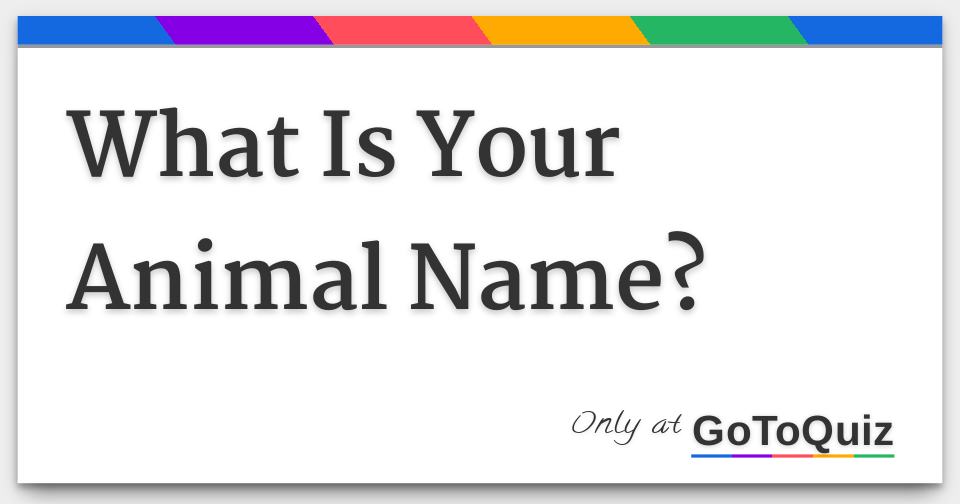 What Is Your Animal Name What Is Your Animal Name