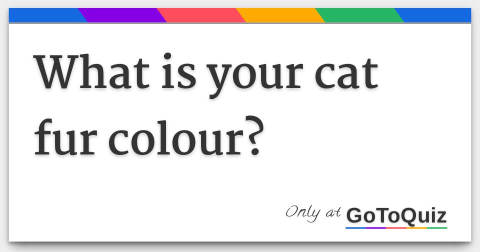 what is your cat fur colour?