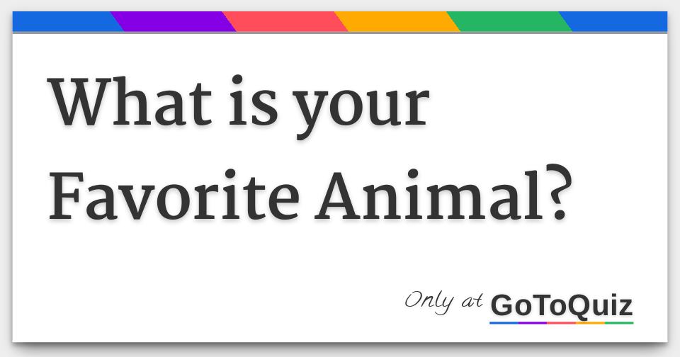 What is your Favorite Animal?