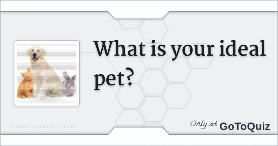What is your ideal pet?