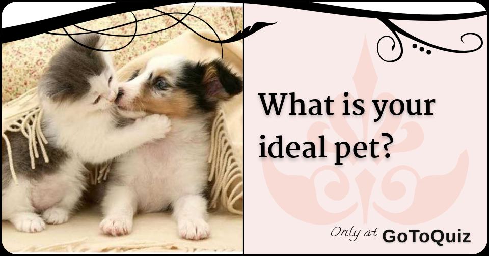 What is your ideal pet?
