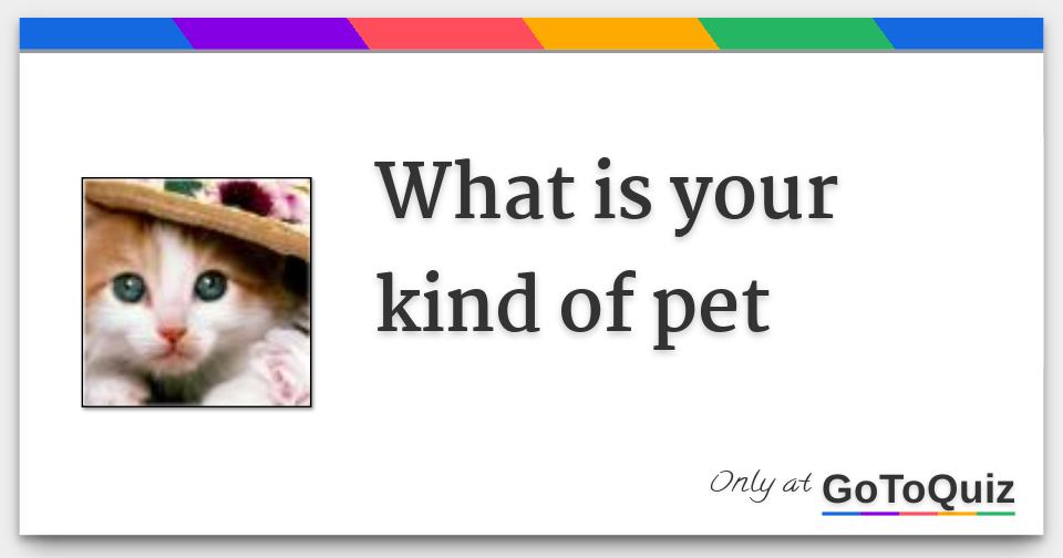 What is your kind of pet
