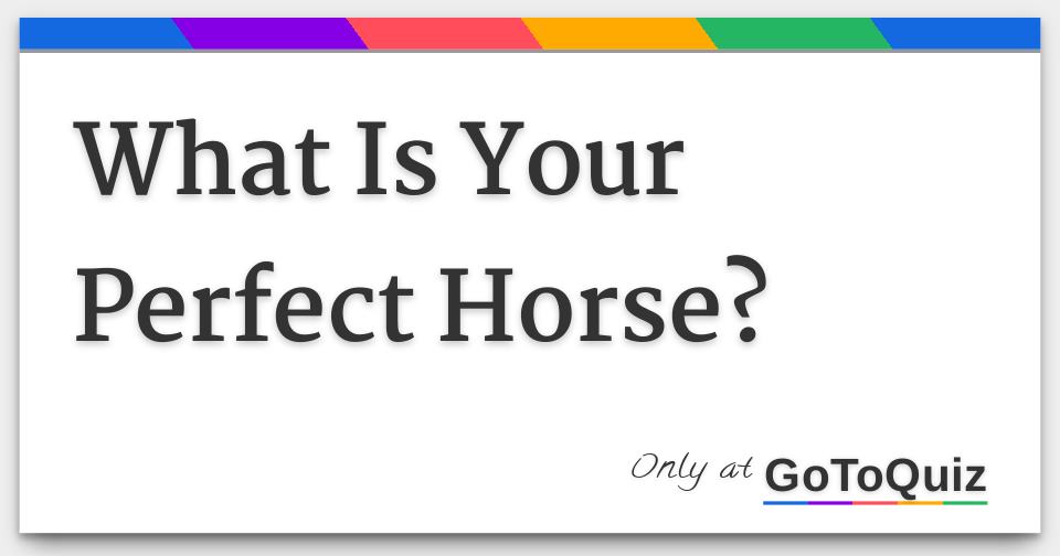 What Is Your Perfect Horse?