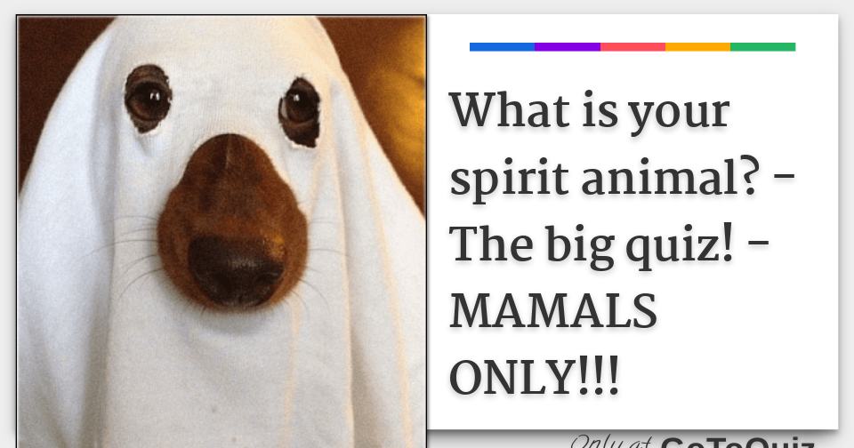 What is your spirit animal? - The big quiz! - MAMALS ONLY!!! What is your spirit animal? - The big quiz! - MAMALS ONLY!!!