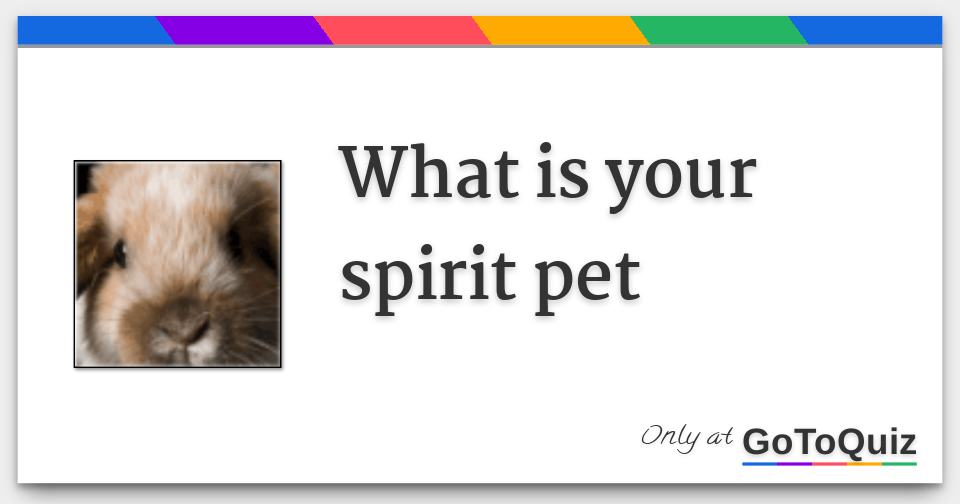 What is your spirit pet