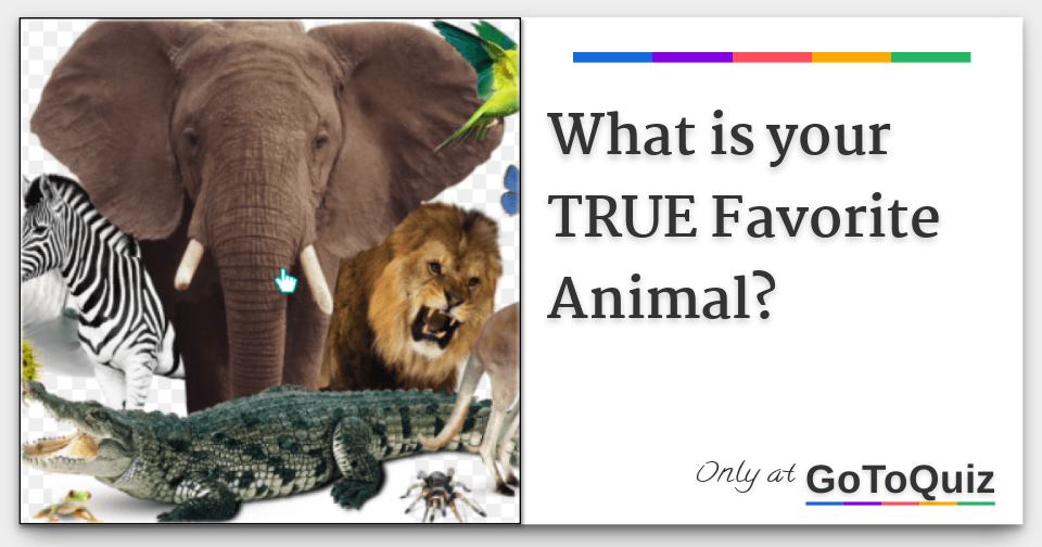 what-is-your-true-favorite-animal