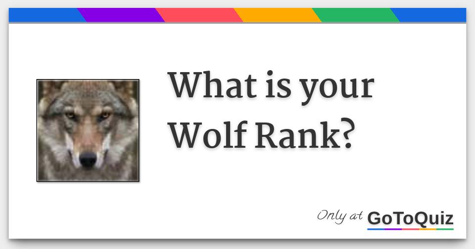 What is your Wolf Rank?