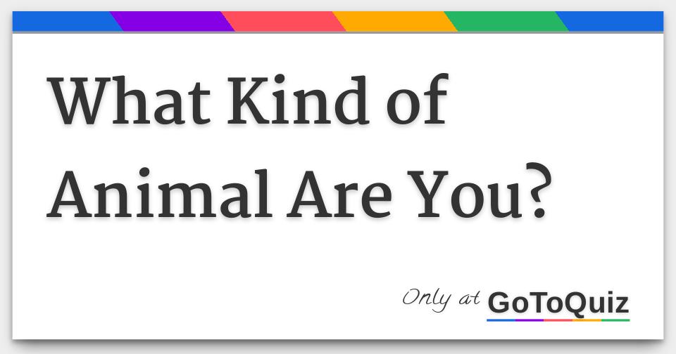 What Kind of Animal Are You?