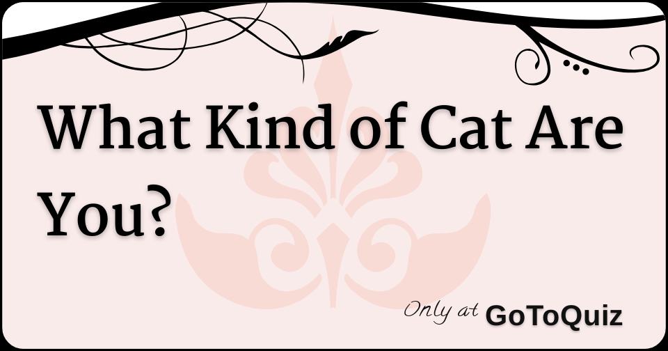 What Kind of Cat Are You?
